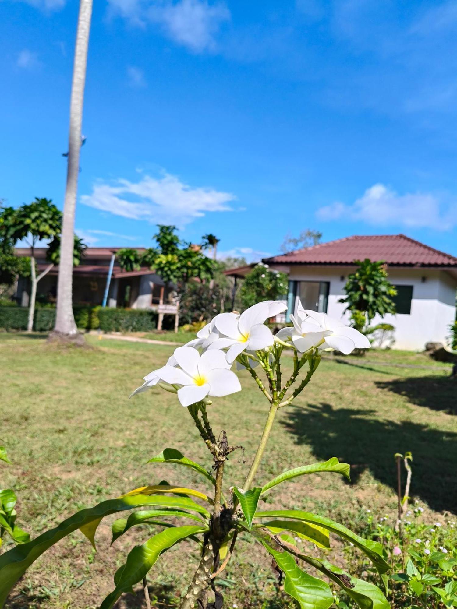 The Lodge At Koh Kood Ko Kut Ngoại thất bức ảnh